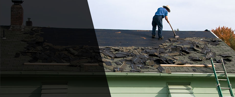 Maitland Roofing Contractors